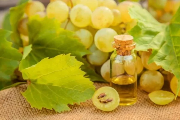 10 Manfaat Minyak Biji Anggur (Grapeseed Oil) untuk Kecantikan Kulit