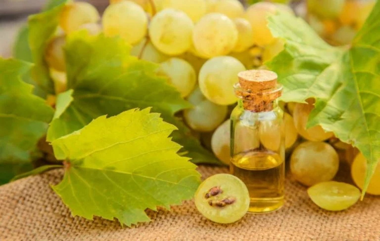 10 Manfaat Minyak Biji Anggur (Grapeseed Oil) untuk Kecantikan Kulit