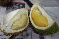 Bolehkah Balita Makan Durian?