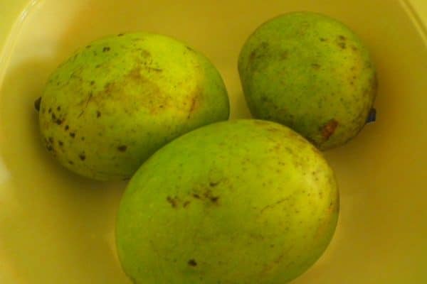 11 Manfaat Buah Bacang, si Saudara Mangga