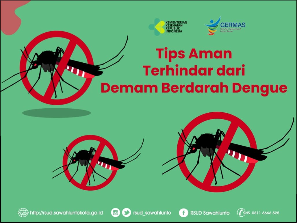 Tips Tercegah dari Demam Berdarah Dengue